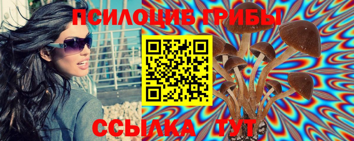 Псилоцибиновые грибы мицелий  цены   Тосно  Вход с VPN 