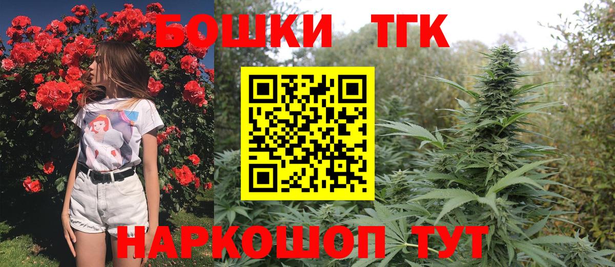 Бошки Шишки планчик Тосно